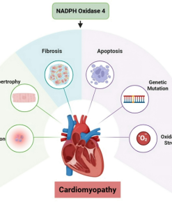 Wilkinson Extra 3 Essential 4+2 Pezzi